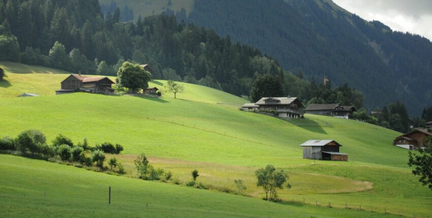 Alternative : Campagne idyllique : collines verdoyantes, fermes, montagnes boisées.