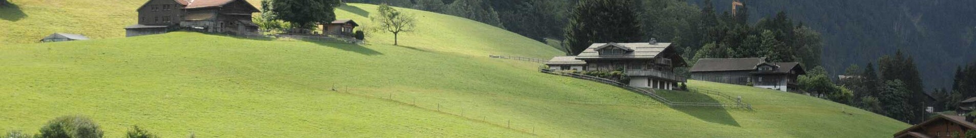 Paris - Gstaad : Alquiler de aviones privados 
