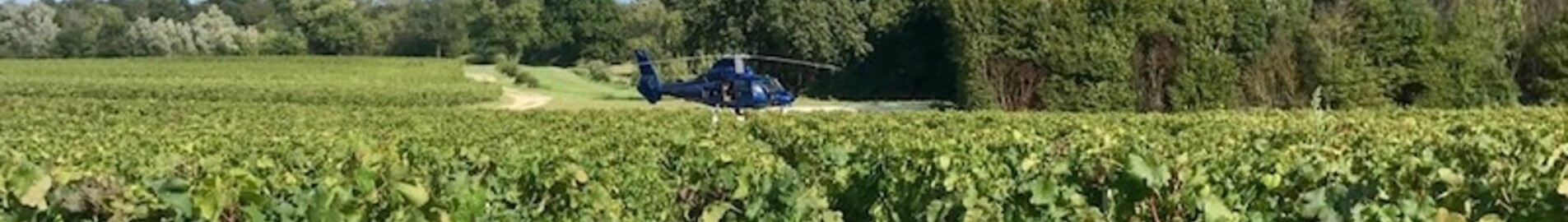 Descubrir los viñedos en helicóptero