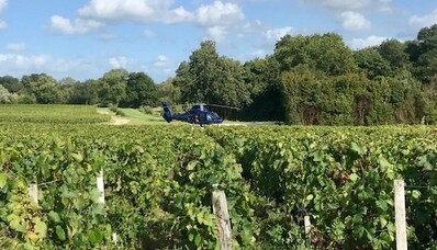 Descubrir los viñedos en helicóptero