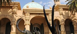 Ciudad del Cabo: alquiler de aviones privados 