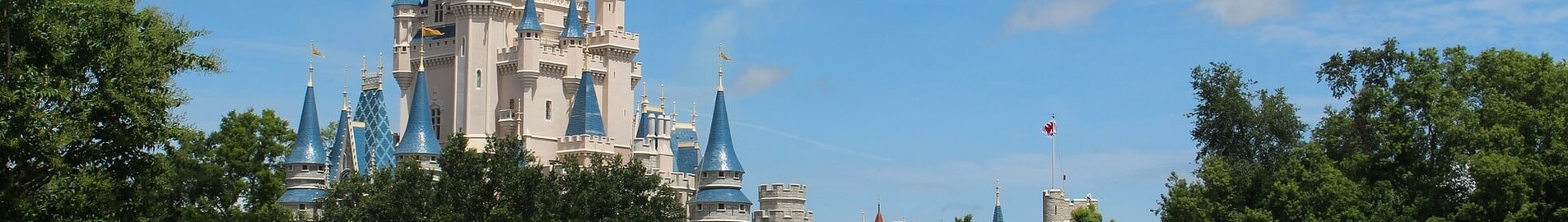 Orlando : Alquiler de aviones privados 