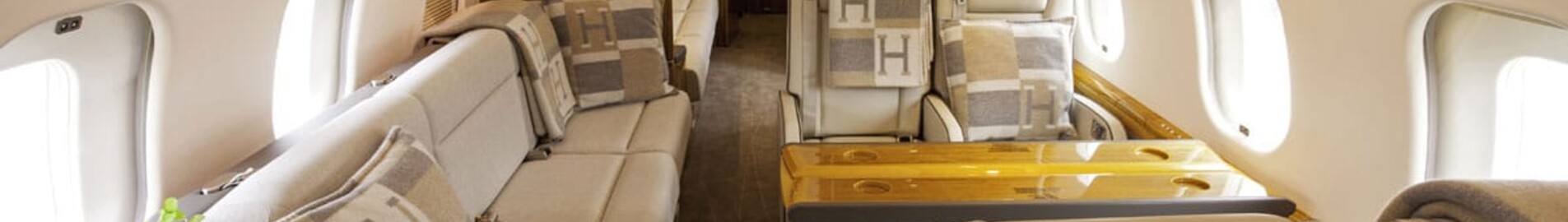 El jet privado de 33 millones de euros de Céline Dion: todo lo que necesitas saber