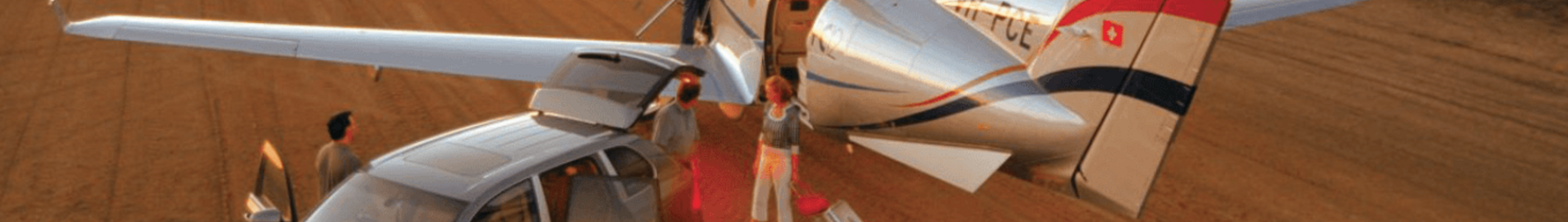 Alquilar un jet privado para un safari