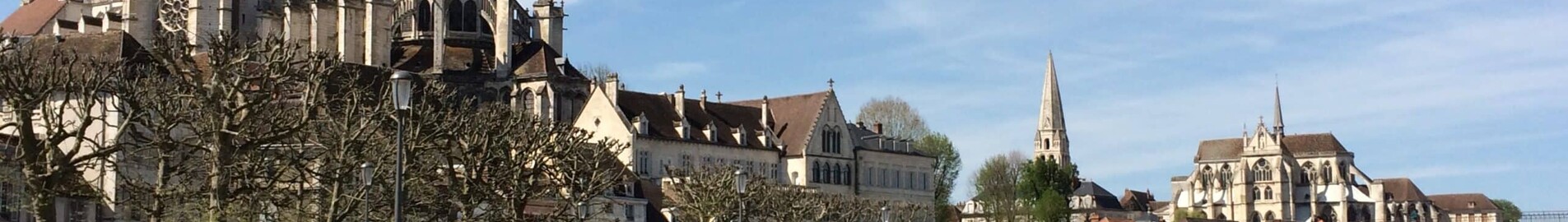 Alquiler de jet privado en Auxerre Branches
