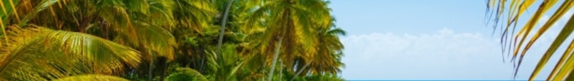 Alquiler de jet privado en El Caribe