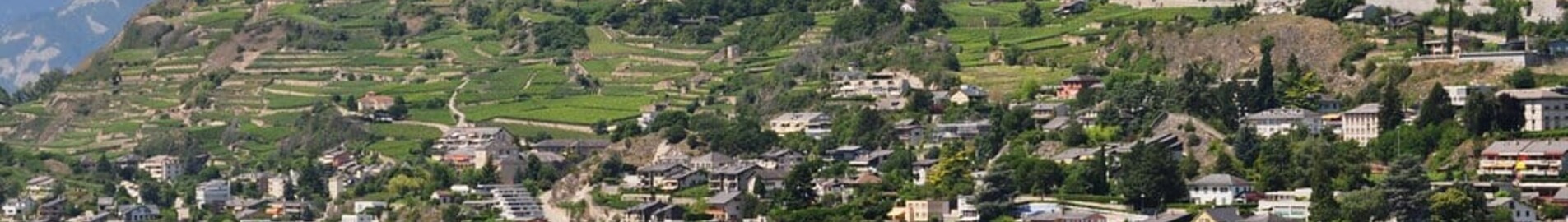 Alquiler de jet privado en Sion (Sitten)