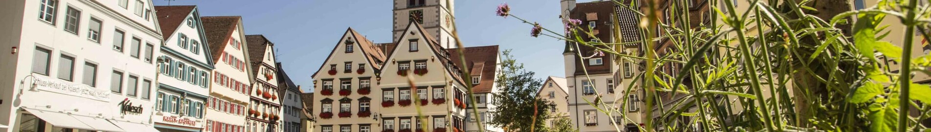 Biberach An Der Riss : Alquiler de aviones privados
