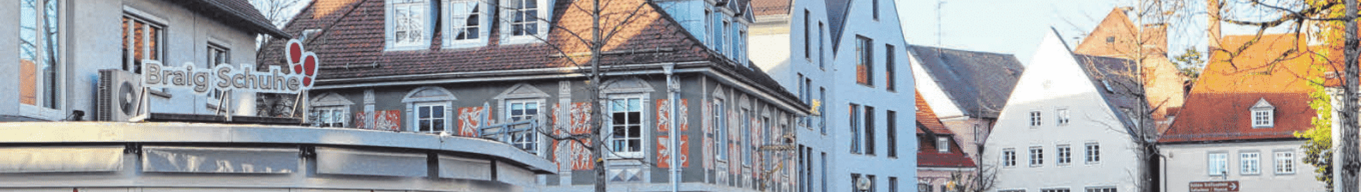 Laupheim: alquiler de aviones privados