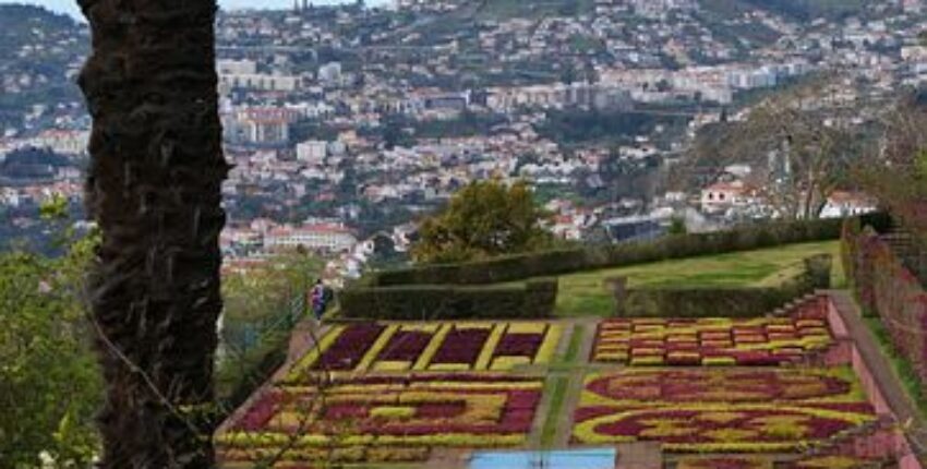Funchal isla de Madeira : alquiler de jets privados 