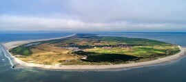 Den Helder : Alquiler de aviones privados