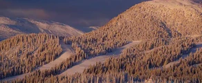 Are Ostersund : Alquiler de aviones privados