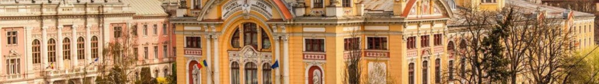 Cluj Napoca : Alquiler de aviones privados 