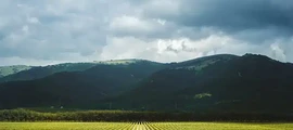 Alykel : alquiler de aviones privados 