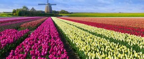 Hoogeveen: ubicación de jet privado