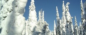 Kuusamo : Alquiler de aviones privados 