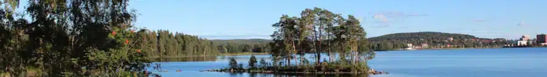 Ludvika: alquiler de aviones privados