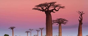 Alquiler de jet privado en Madagascar