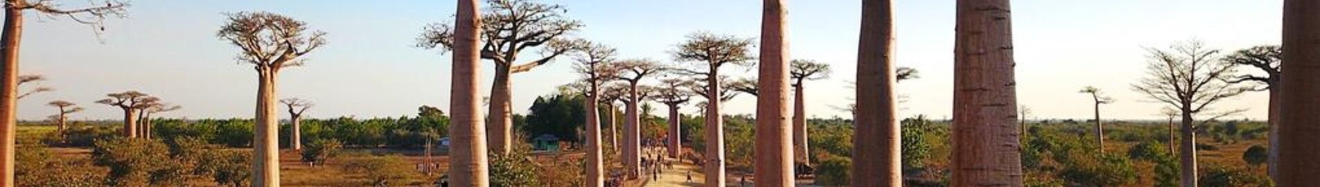 Morondava : Alquiler de aviones privados