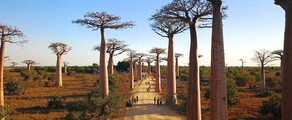 Morondava : Alquiler de aviones privados