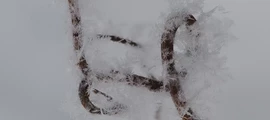 Murmansk : Alquiler de aviones privados