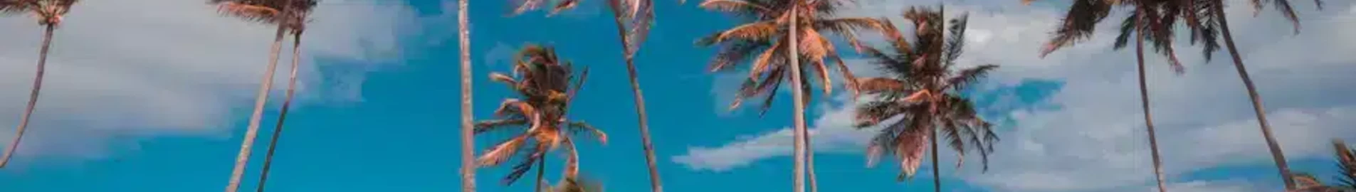 Punta Cana: alquiler de aviones privados