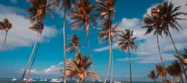 Cabo Rojo : Alquiler de aviones privados