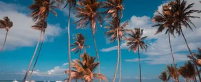 Punta Cana: alquiler de aviones privados