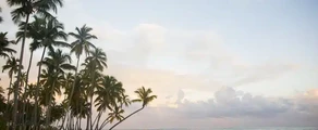 República Dominicana: Alquiler de aviones privados
