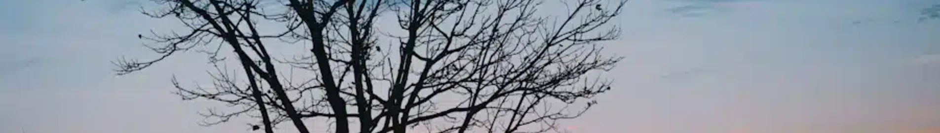 Saratov Tsentralny : Alquiler de aviones privados