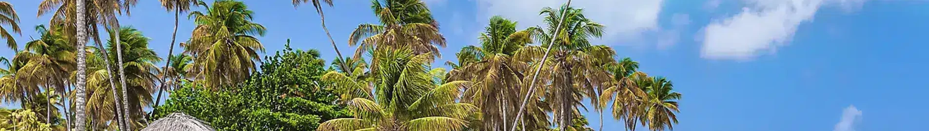 Tobago Scarborough Crown Point : Alquiler de aviones privados 