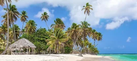 Trinidad y Tobago : Alquiler de aviones privados