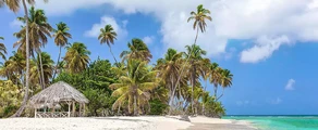Tobago Scarborough Crown Point : Alquiler de aviones privados 