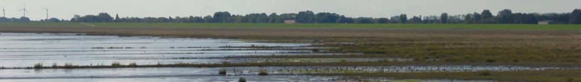 Wilhelmshaven Mariensiel : Alquiler de aviones privados 