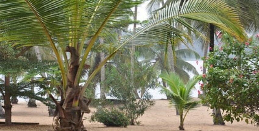 Costa de Marfil: alquiler de jets privados