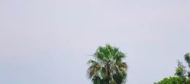 Kalemie: alquiler de aviones privados