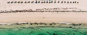 Djerba Zarzis : Alquiler de aviones privados