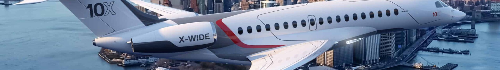 Jet privado y helicóptero: cuando los animales son fuente de inspiración