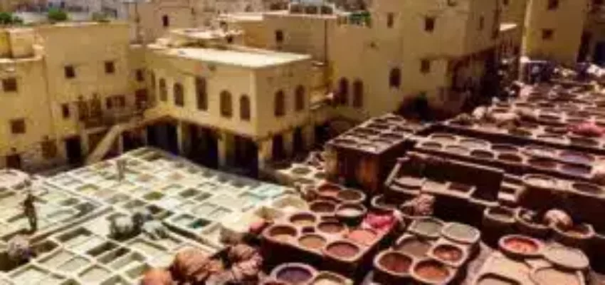 Tannerie de Fès, vue aérienne des cuves.