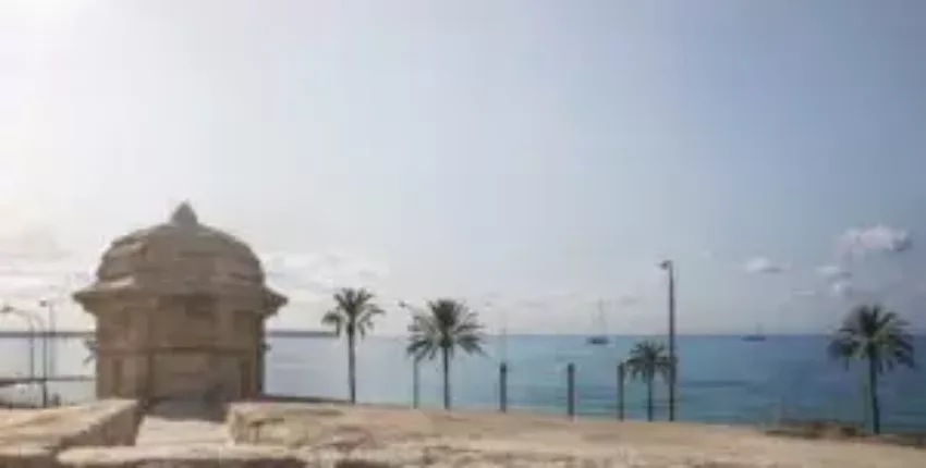 Fortification de Palma de Majorque, palmiers et bateaux.