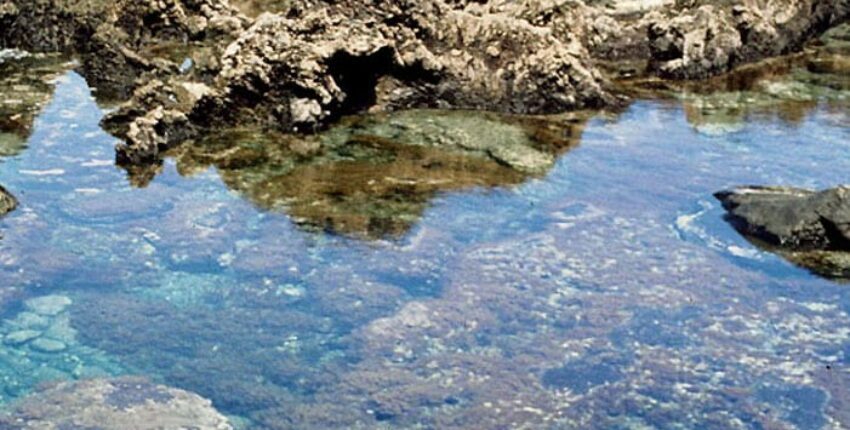 Alquilar un jet privado en el aeropuerto de El Hierro