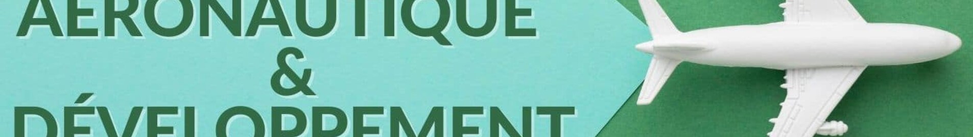 Los retos de la industria aeronáutica en el contexto del desarrollo sostenible