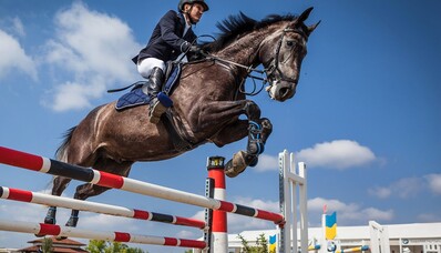 Transporte de caballos en avión de carga: trámites, precios, empresas especializadas y ventajas
