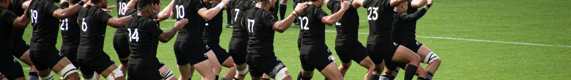 Copa del Mundo de Rugby 2023: surca los cielos en un jet privado.