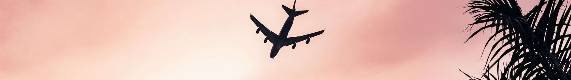 ¿Un verano ajetreado para la aviación de negocios en 2023?