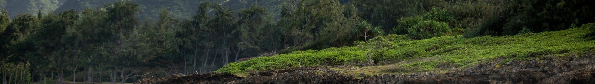 Hawai : Alquiler de jets privados y helicópteros