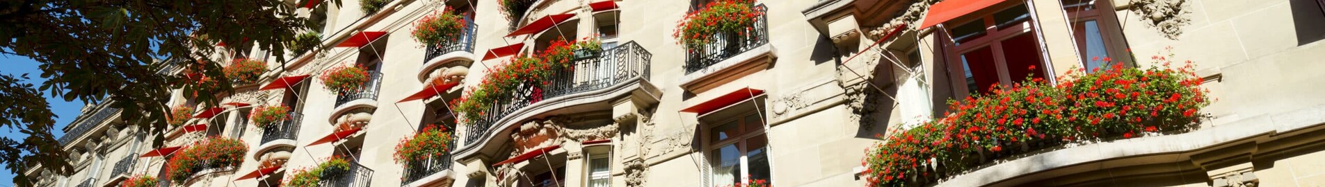 Hotel de lujo en París: una estancia de ensueño en el Hôtel Plaza Athénée