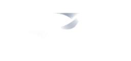 Piaggio Aerospace : constructeur aéronautique