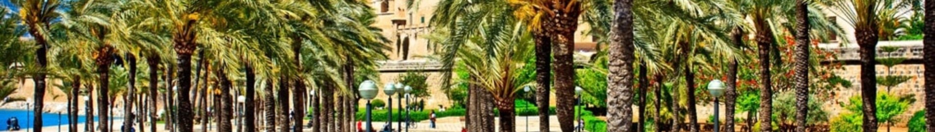 Nápoles - Palma de Mallorca : alquiler de jet privado