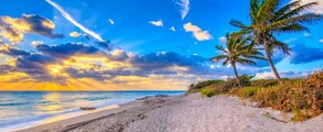 Ginebra - Palm Beach : alquiler de jet privado